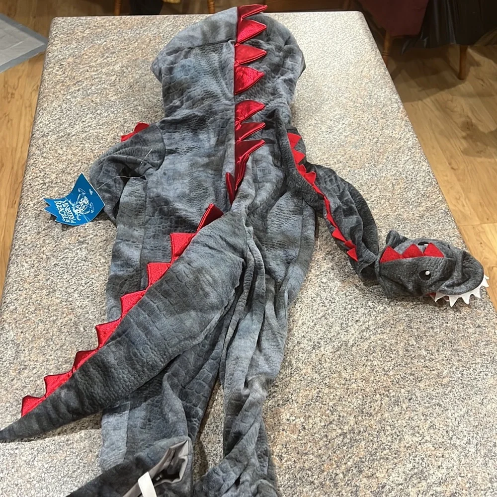 Ministry of Rascal dragon costume size 2T